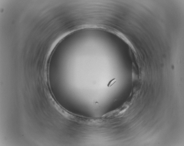 X0000070431148200606231911