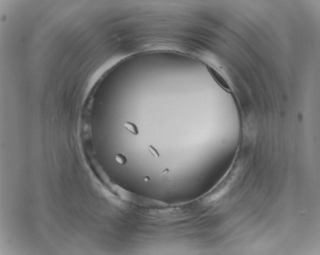 X0000070431149200606231911