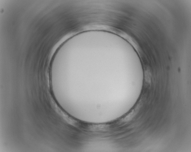 X0000070431150200606231911