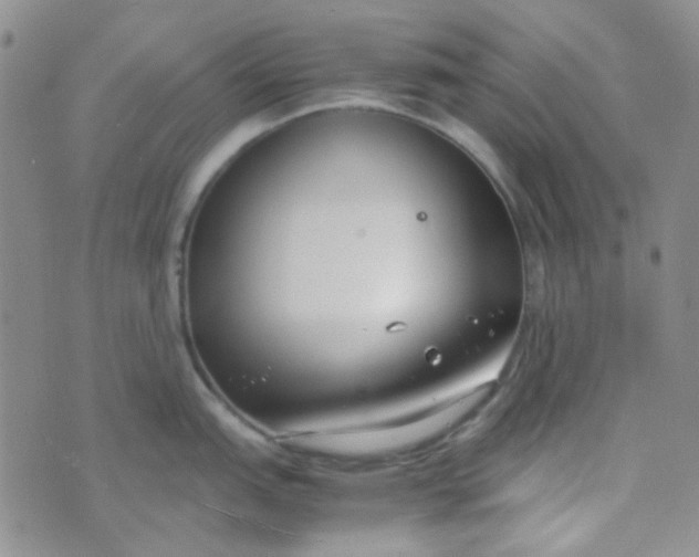 X0000070431151200606231911