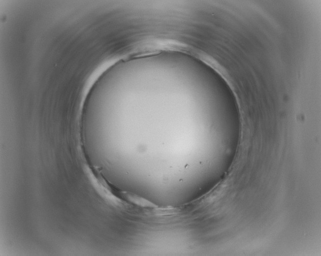 X0000070431152200606231912