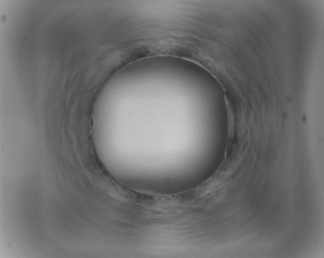 X0000070431153200606231911