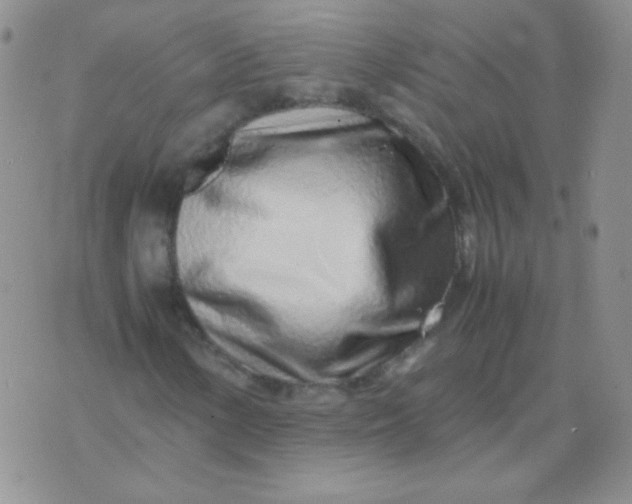 X0000070431154200606231911