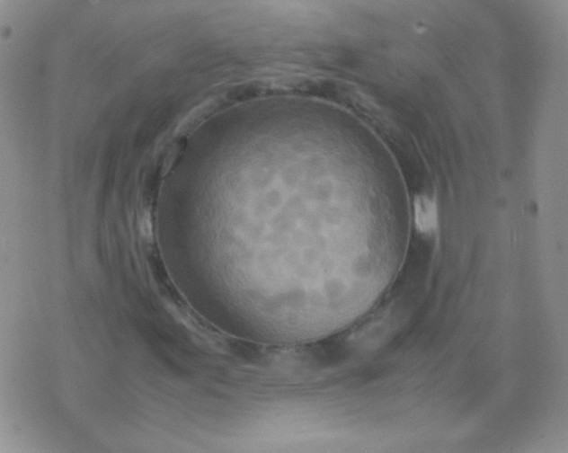 X0000070431155200606231911