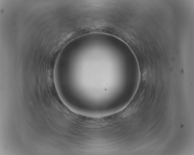 X0000070431156200606231911