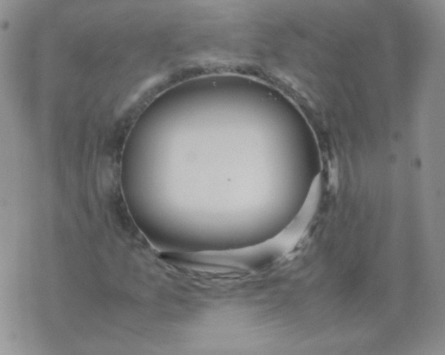 X0000070431157200606231911