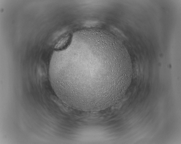 X0000070431158200606231911