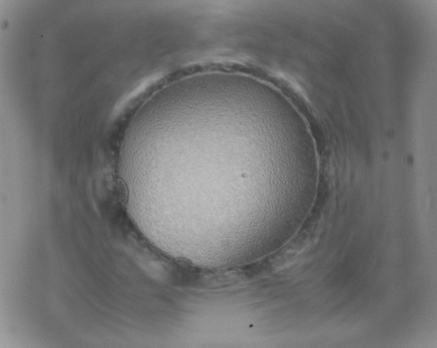 X0000070431159200606231911