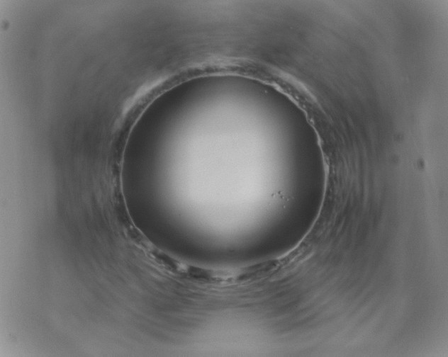 X0000070431160200606231911