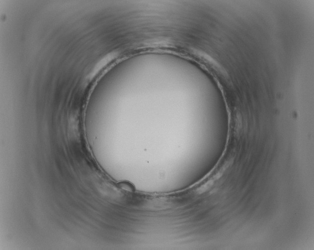 X0000070431162200606231911