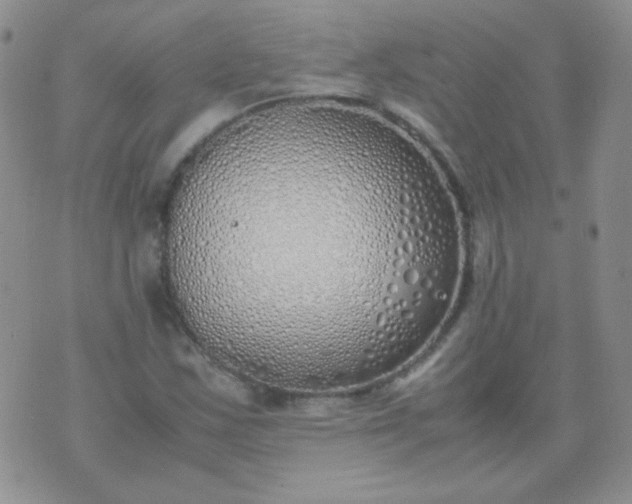 X0000070431163200606231911