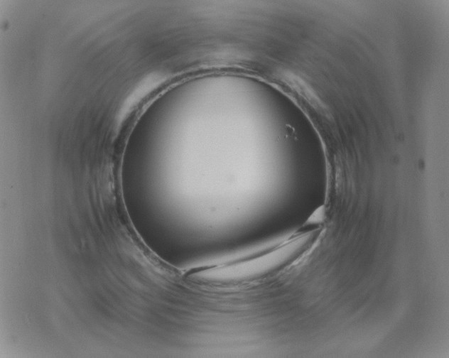 X0000070431164200606231911