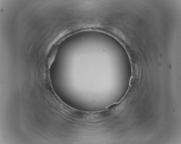 X0000070431165200606231911