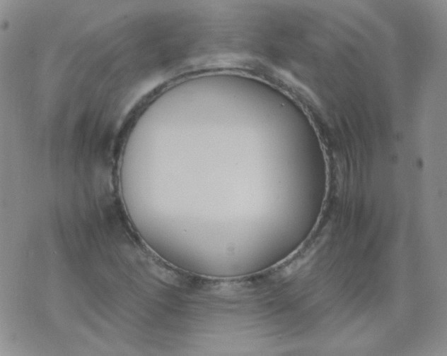 X0000070431166200606231911