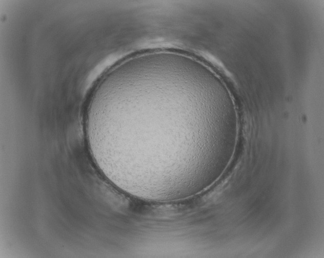 X0000070431167200606231911