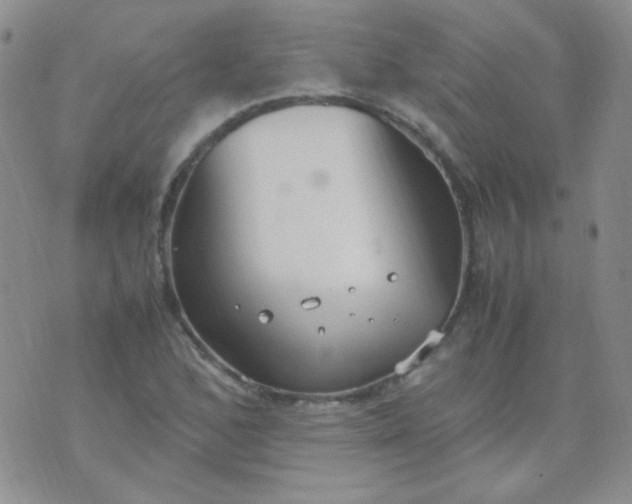 X0000070431168200606231910