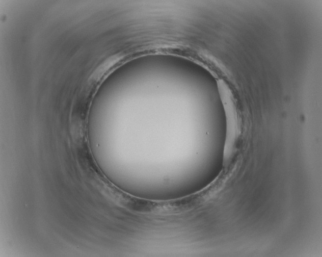 X0000070431169200606231910