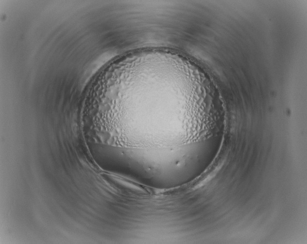 X0000070431170200606231910