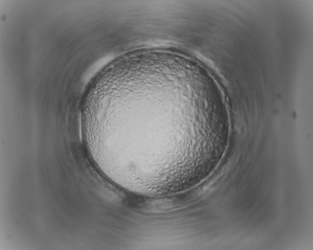 X0000070431171200606231910