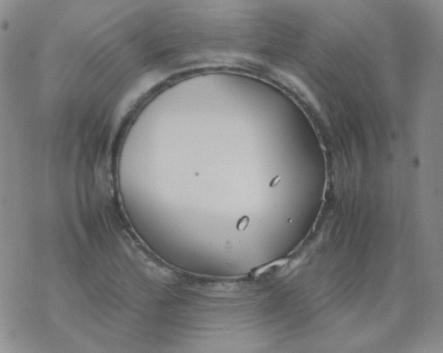 X0000070431172200606231910