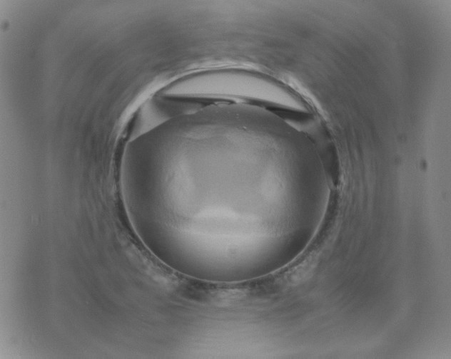 X0000070431173200606231910