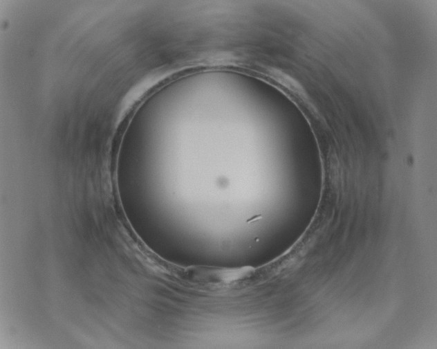 X0000070431176200606231910