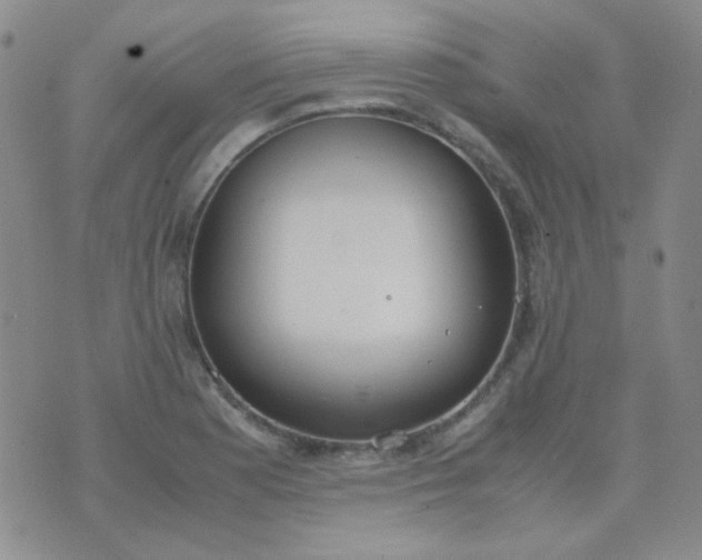 X0000070431177200606231910