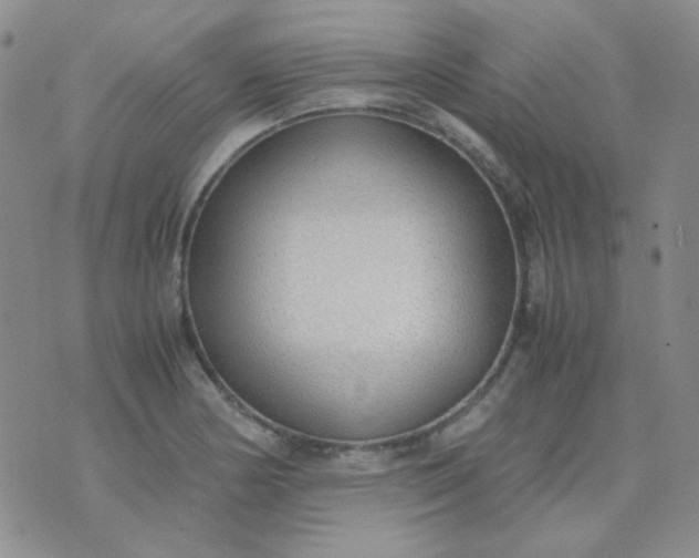 X0000070431178200606231910