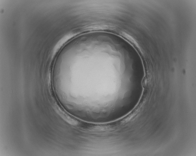 X0000070431179200606231910