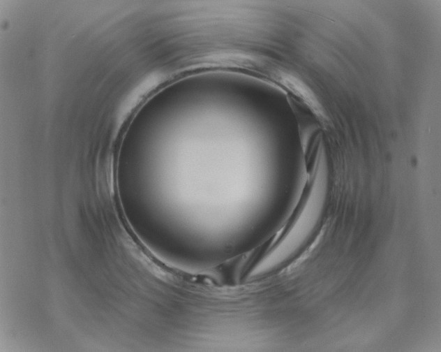 X0000070431180200606231910