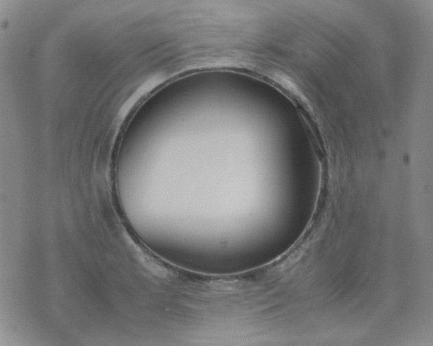 X0000070431181200606231910