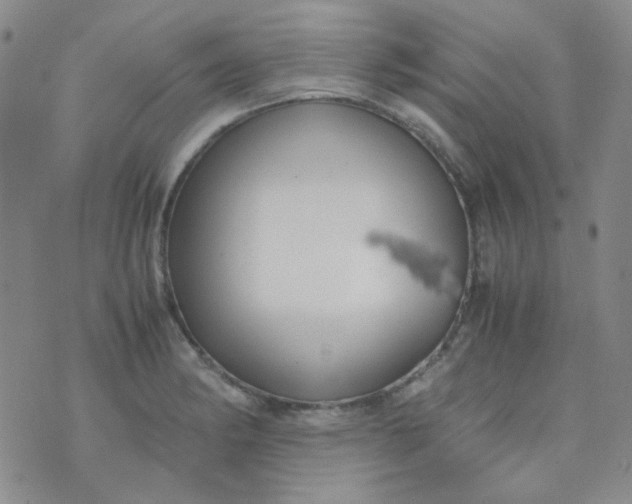 X0000070431182200606231910