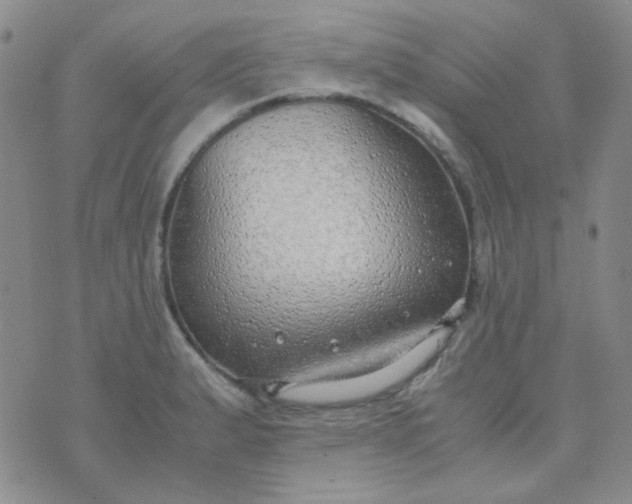 X0000070431183200606231910