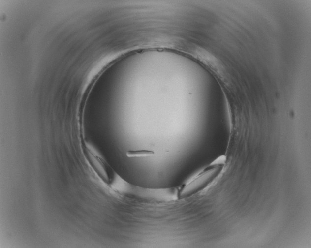 X0000070431184200606231910