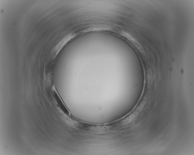 X0000070431185200606231910