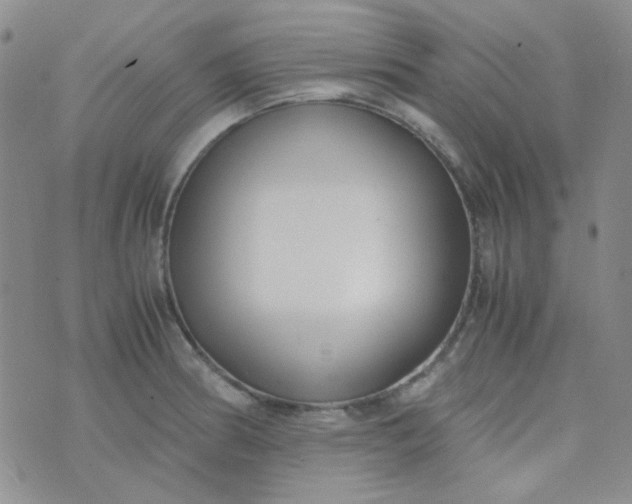 X0000070431186200606231910