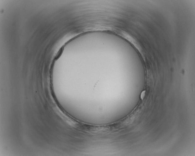 X0000070431187200606231910