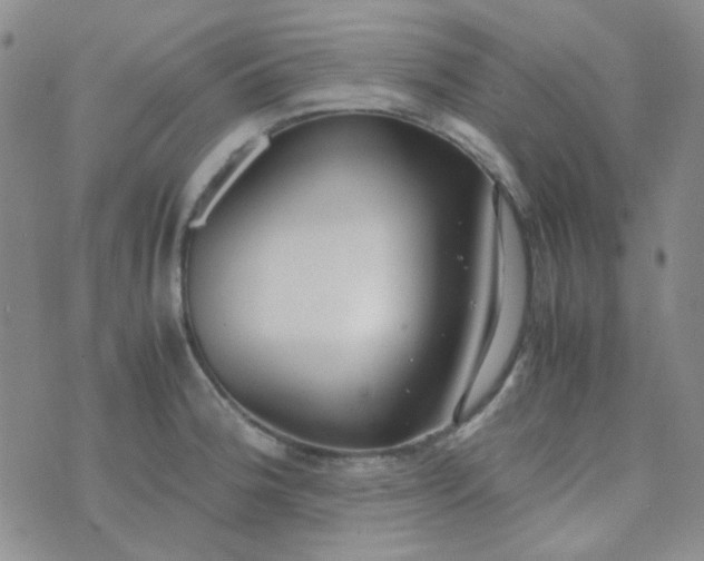 X0000070431188200606231910