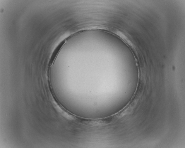 X0000070431189200606231910