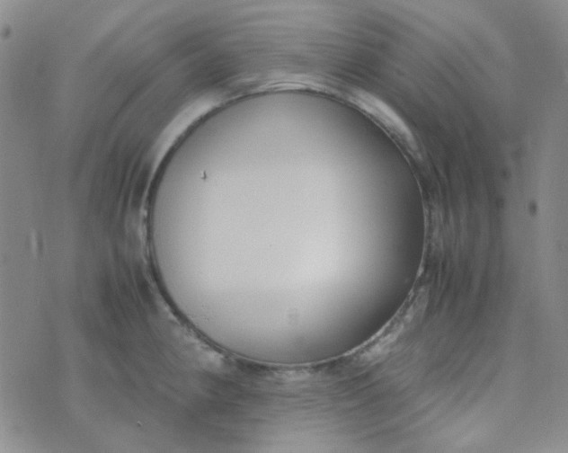 X0000070431190200606231910