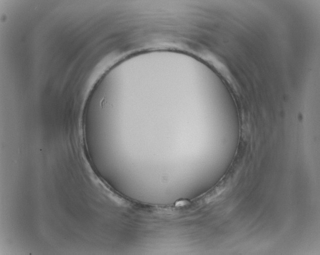 X0000070431191200606231910