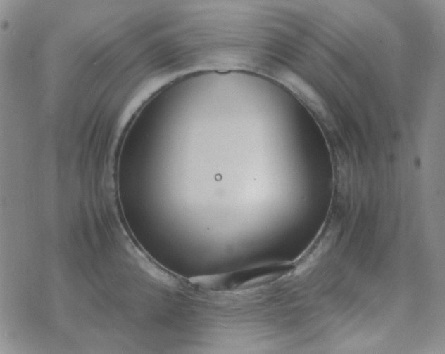 X0000070431192200606231910