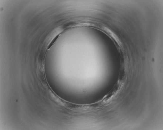 X0000070431193200606231910