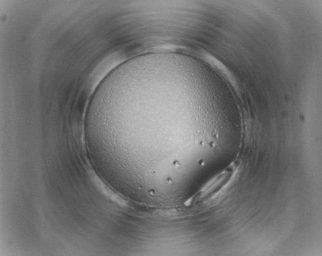 X0000070431194200606231910