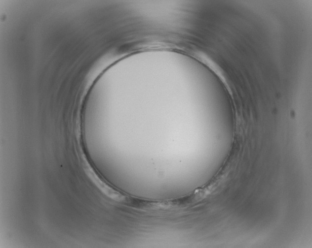 X0000070431195200606231910