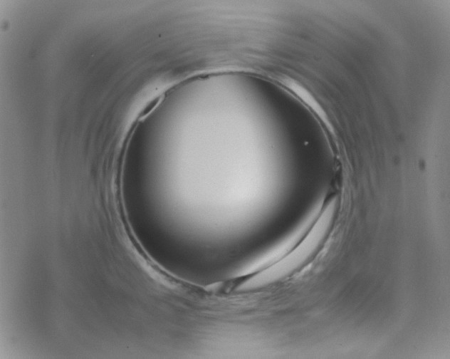 X0000070431197200606231910