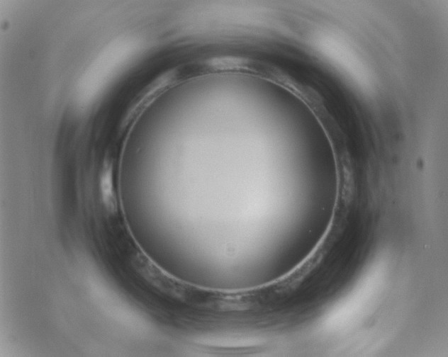 X0000070431198200606231910