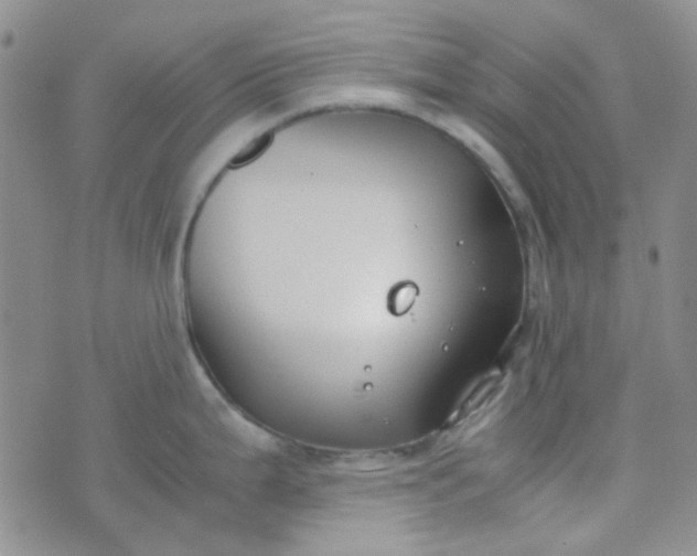 X0000070431199200606231910