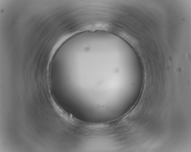 X0000070431200200606231910