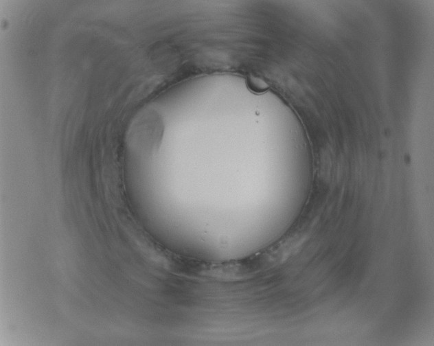 X0000070431201200606231909